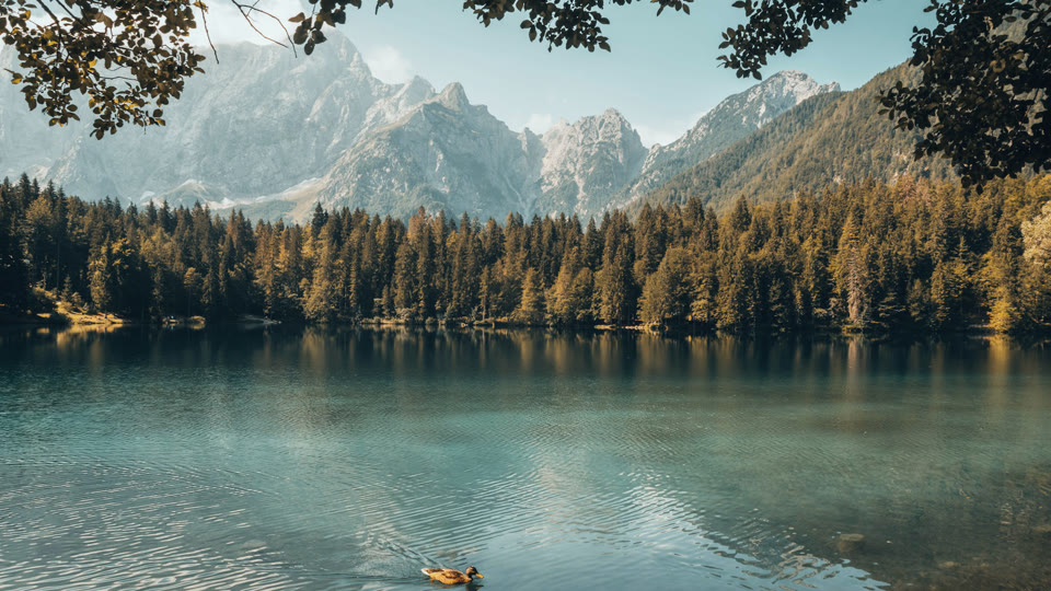 A landscape graded with a DAEDAL look, in the app concept interface